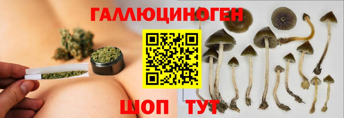 Чехов  Галлюциногенные грибы Psilocybe  Вход с VPN 
